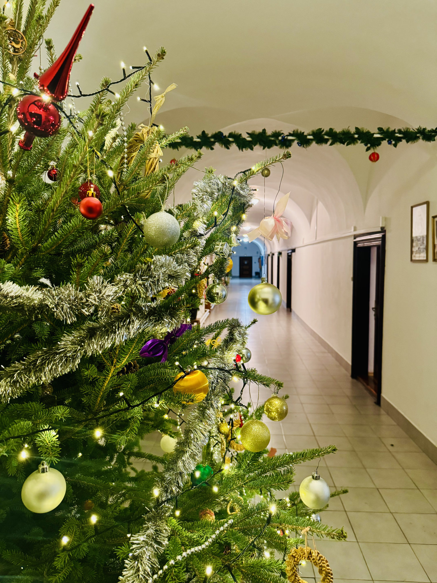 Megjött a Mikulás!